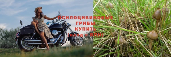 амфетамин Бородино